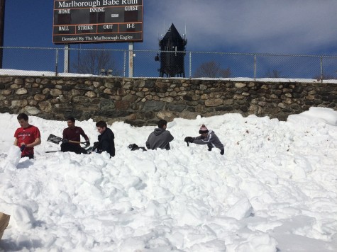 Spring dreams buried beneath the snow