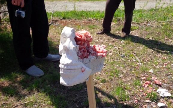 Students have been smashing skull models to study forensic evidence of a hypothetical crime.