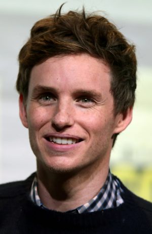 Eddie Redmayne strikes all the right notes in his star turn.