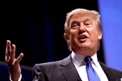 Can a President Trump succeed?