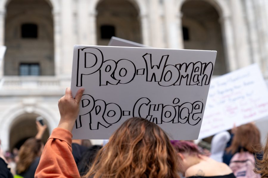 The+new+Texas+law+has+raised+significant+concerns+among+pro-choice+advocates.
