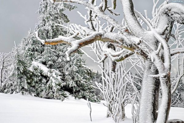 Winter conditions lead millions to suffer from Seasonal Affective Disorder.