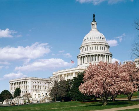 The U.S. Capitol is a cherished symbol of what the country represents.