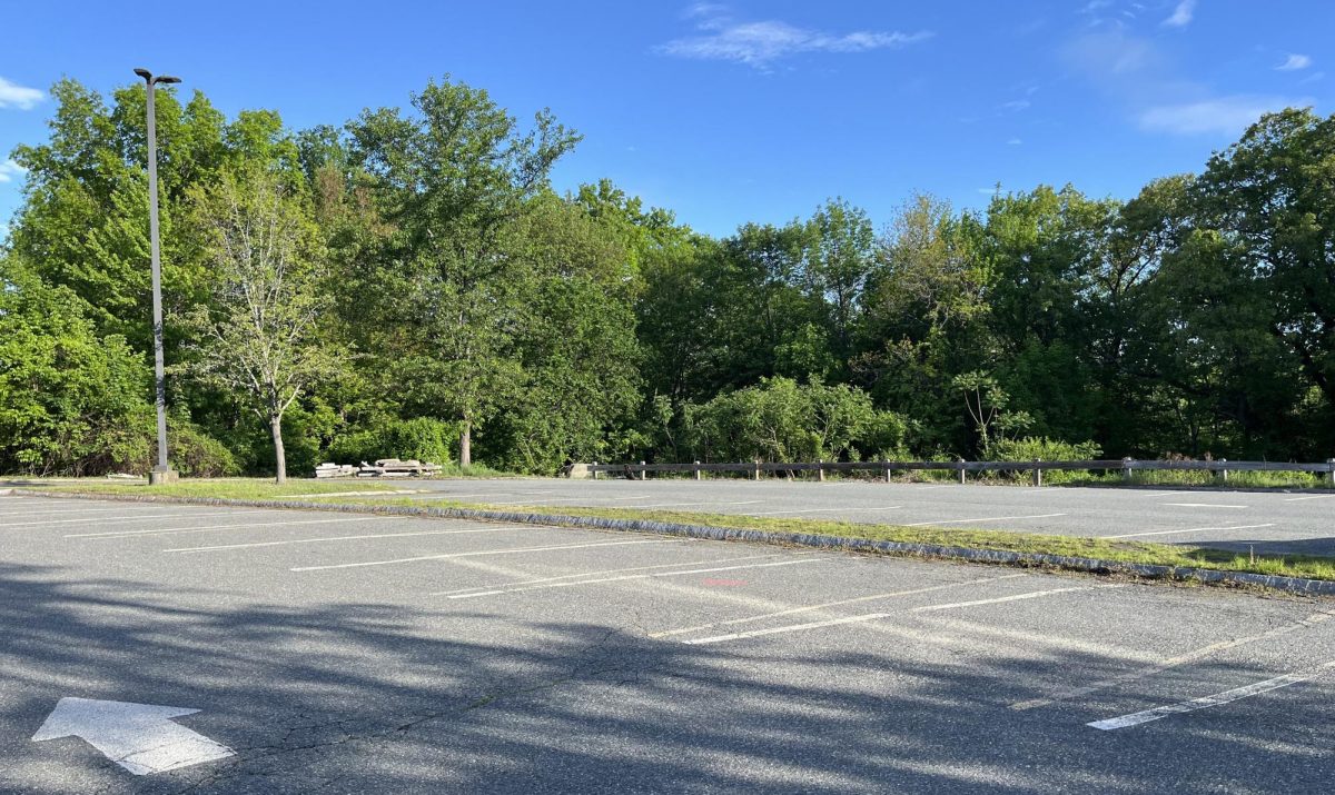 AMSA is adding and redesignating parking lots to clear up confusion and improve traffic flow.